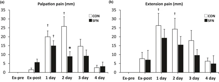 Deux graphiques en barres de la douleur du biceps de l'avant-séance à 4 jours : à la palpation, environ 26 mm sans sulforaphane contre 9 mm avec au deuxième jour ; à l'extension, des barres plus basses avec sulforaphane mais sans différence significative