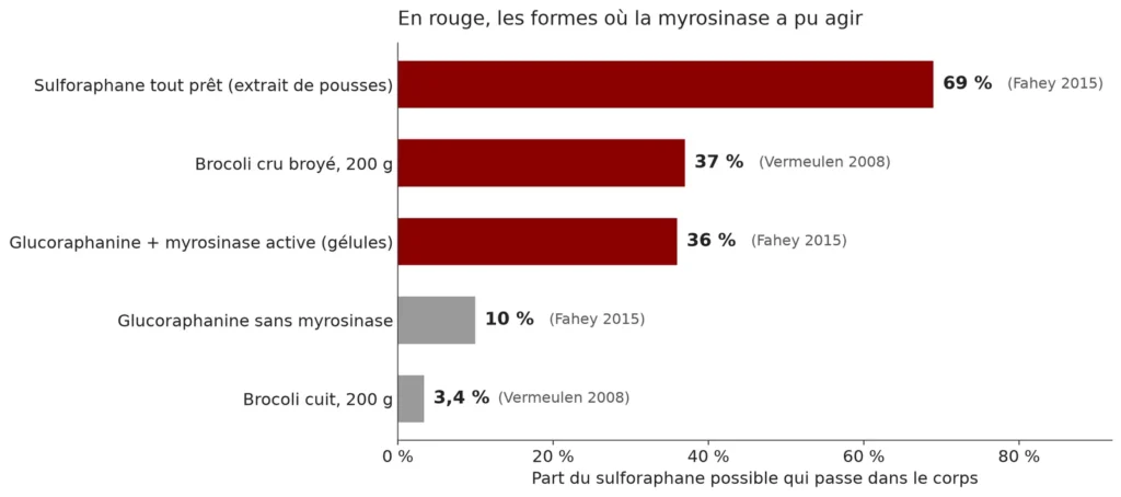Barres horizontales de la part du sulforaphane qui passe dans le corps : 69 % avec le sulforaphane tout prêt, 37 % avec le brocoli cru, 36 % avec la glucoraphanine et sa myrosinase, 10 % sans myrosinase, 3,4 % avec le brocoli cuit