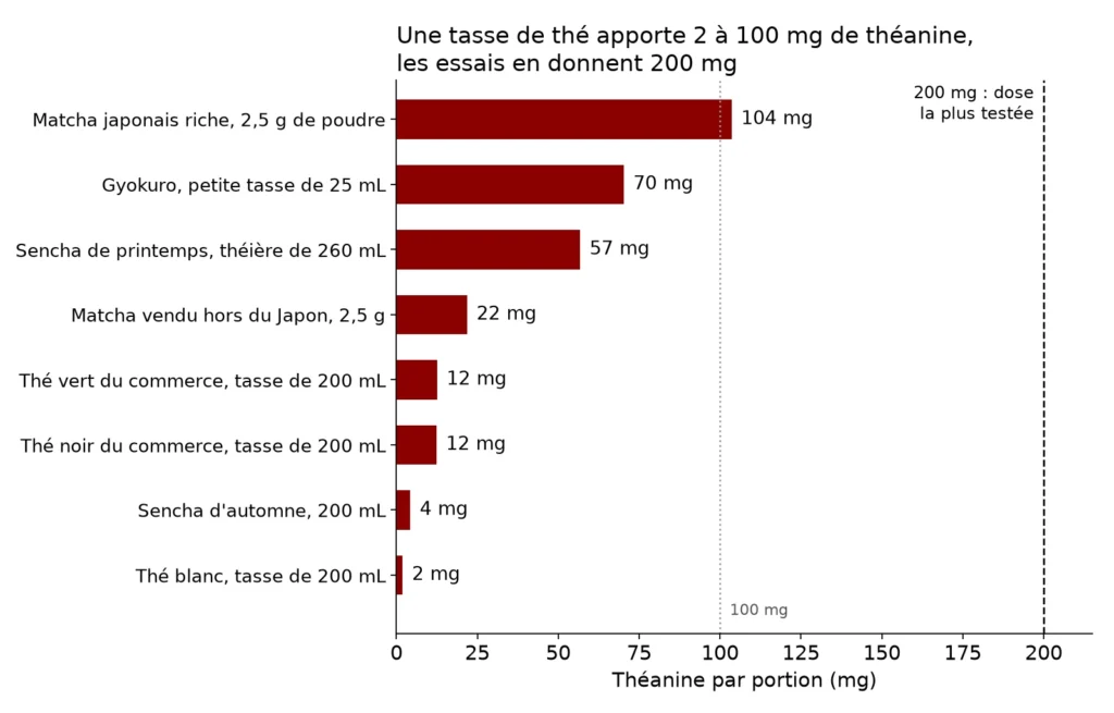 Graphique en barres de la théanine par portion : 104 mg pour 2,5 g de matcha japonais riche, 70 mg pour une tasse de gyokuro, 57 mg pour une théière de sencha de printemps, 22 mg pour 2,5 g de matcha vendu hors du Japon, 12 mg pour une tasse de thé vert ou noir, 4 mg pour un sencha d'automne et 2 mg pour un thé blanc, contre 200 mg dans les essais