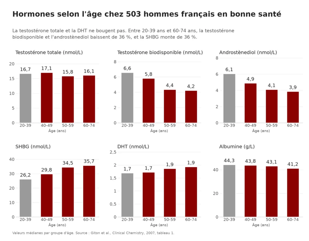 Graphique : avec l'âge, testostérone totale stable, testostérone biodisponible et androstènediol en baisse, SHBG en hausse