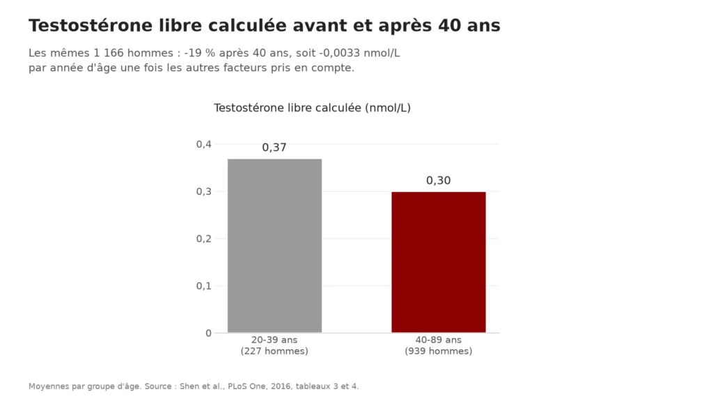 Graphique : testostérone libre calculée de 0,37 nmol/L avant 40 ans à 0,30 nmol/L après, hommes chinois