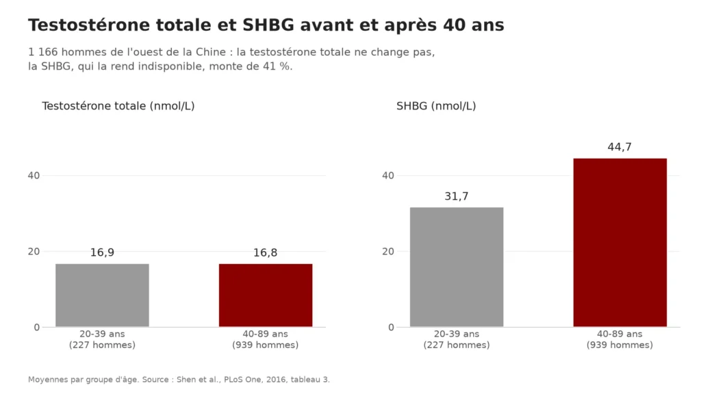 Graphique : testostérone totale stable (16,9 et 16,8 nmol/L), SHBG de 31,7 à 44,7 nmol/L après 40 ans