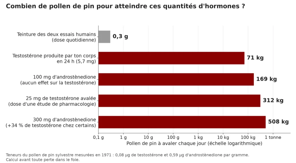 Graphique en barres horizontales sur échelle logarithmique : 0,3 g de pollen pour la teinture des essais humains, contre 71 kg pour égaler la production quotidienne de testostérone, 169 kg pour 100 mg d'androstènedione, 312 kg pour 25 mg de testostérone et 508 kg pour 300 mg d'androstènedione