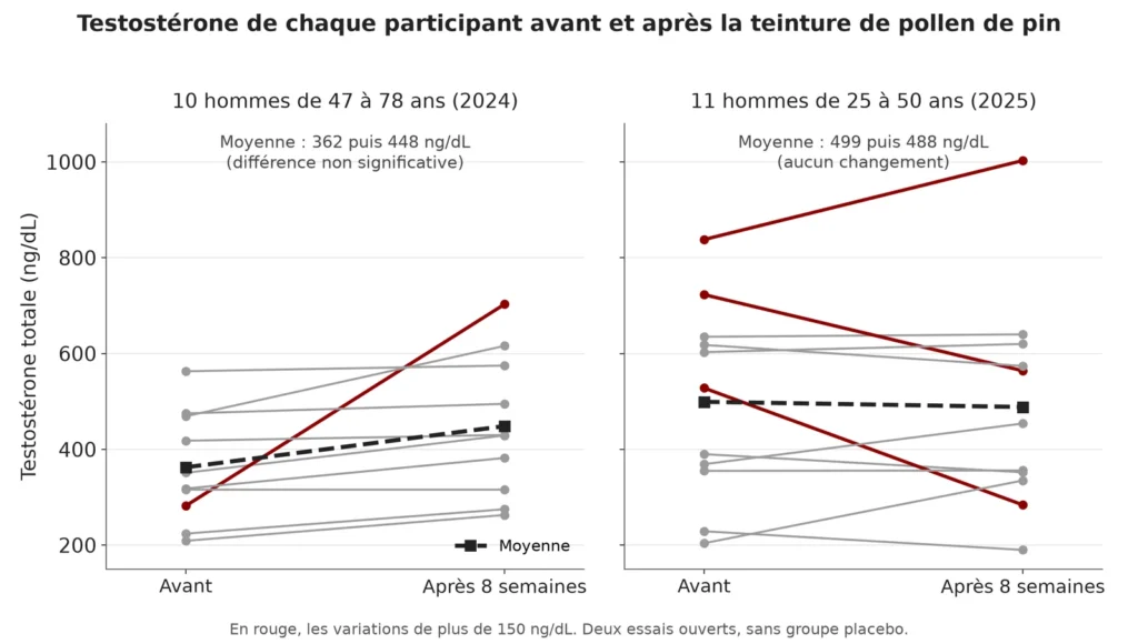 Deux graphiques avant et après : chez 10 hommes de 47 à 78 ans, la moyenne passe de 362 à 448 ng/dL, tirée par un homme qui passe de 282 à 703 ; chez 11 hommes de 25 à 50 ans, la moyenne passe de 499 à 488 ng/dL, avec autant de hausses que de baisses