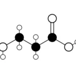 beta-alanine-molecule