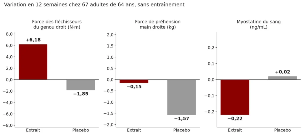 Trois graphiques en barres sur 12 semaines : force des fléchisseurs du genou droit +6,18 sous extrait contre -1,85 sous placebo, préhension de la main droite -0,15 contre -1,57 kg, myostatine du sang -0,22 contre +0,02 ng/mL