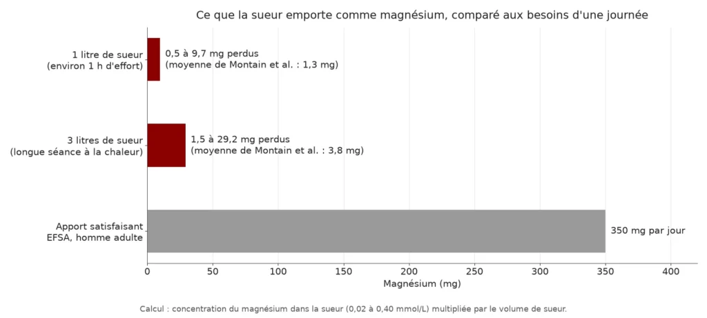 Diagramme en barres horizontales : 1 litre de sueur fait perdre 0,5 à 9,7 mg de magnésium, 3 litres 1,5 à 29,2 mg, contre un apport satisfaisant de 350 mg par jour