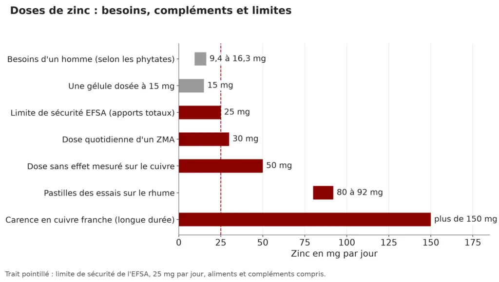 Graphique en barres horizontales comparant les besoins en zinc (9,4 à 16,3 mg), une gélule de 15 mg, la limite de sécurité de 25 mg, un ZMA à 30 mg, la dose sans effet sur le cuivre de 50 mg, les pastilles contre le rhume à 80-92 mg et la carence en cuivre au-delà de 150 mg